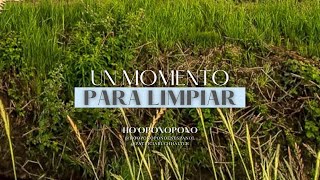 #hooponopono Patricia Buchhalter: Compartimos un momento de Limpieza.