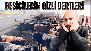 BÜYÜKBAŞIN BÜYÜK DERDİ VAR / BESİCİLERİN BİTMEYEN DERTLERİ