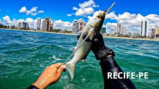 PESCANDO E COMENDO TAINHA - PESCA SUB