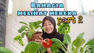 Bahagia berkebun Part 2