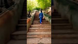 #youtubeshorts #shorts #short  #chaleya #chaleyasong #srk #jaipur #nature #alone #trekking #single