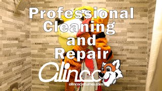 Alinco Costume: Mascot Costume Cleaning and Repair Services