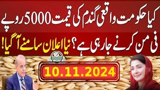 Wheat Support Price 2025 گندم کی نئی سرکاری قیمت فائنل اعلان