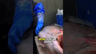 Master the Art of Tuna Belly Cutting