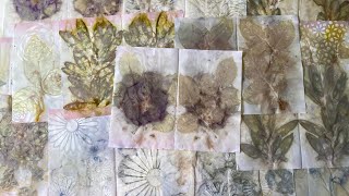 Eco Printing on Paper: The boiling and steaming methods with tips & techniques for awesome prints!