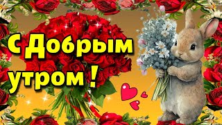 🌞Самого доброго летнего утра! 💗 Благословенного дня! 💗 Красивая музыкальная открытка💗