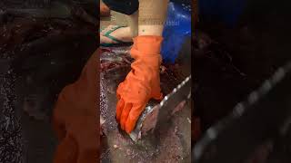 Fish Cutting Video Shorts | FLV Official | Ep 266