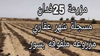 مزرعة للبيع 25فدان مسجلة شهر عقاري ملفوفه بسور نموذجية متكاملة زراعي سكني