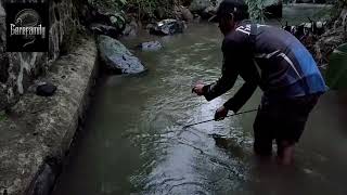 MANCING SIDAT TER EXSTRIM FUL BABON