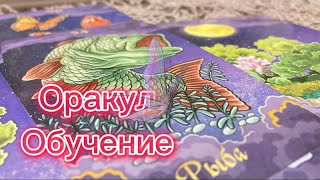 Обучение 🔮🪬Оракул. #oracle #курсоракул #полнолуние