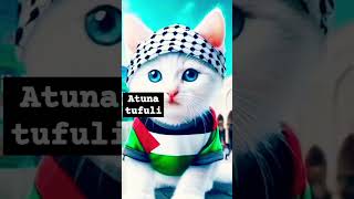 kucing palestina , atuna tufuli#atunatufuli #shorts