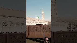 Mere nabi hai mere nabi hai #beautiful #islamicvideo #duet #unfrezzmyaccount