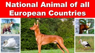 National Animal of European Countries || DAG12647