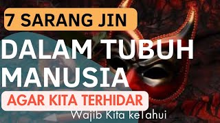 Tujuh Sarang Jin Dan Setan Di Tubuh Manusia Yang Paling Di Suka