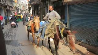 Old Delhi Rickshaw Ride, 20th December 2017