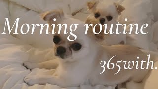 さんまとすだちのモーニングルーティン🐶🐶☀️【Morning routine】