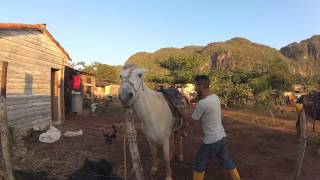 Rural Area in Vinales