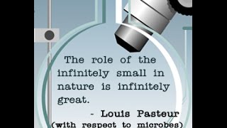 A Brief Summary of Louis Pasteur's Germ Theory of Disease