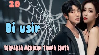 Ep20 Ingin Bertemu • Rencana Licik • Novel romantis