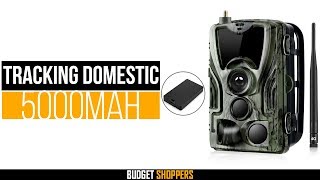 Best Budget 16MP Hunting Camera