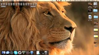 Mac OS X Lion: Launchpad & Mission Control