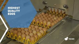 TECNO AVIARY SYSTEMS: Quality Eggs Unleashed!