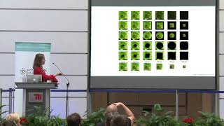 SPP Berlin 2018: Karolina Stosio - What do Deep Neural Networks see?