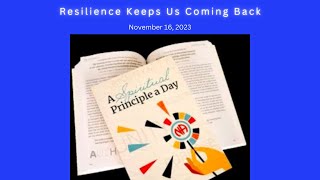 Spiritual Principle a Day - Resilience Keeps Us Coming Back -  11-16 #jftguy #na #spad