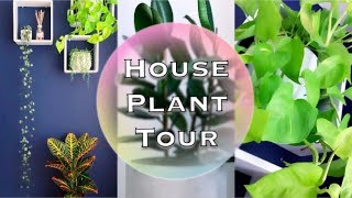 MY HOUSEPLANT COLLECTION 2018 | _MILASMAMA