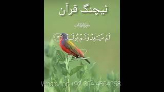 Surah  ikhlas with Urdu translation | Quran tilawat | Quran Urdu hindi Tarjuma #youtubeshorts