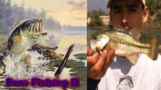 Bass Fishing 2: Peck Road Bass/Drop Shot