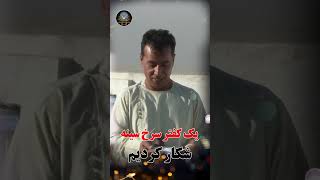 یک کفتر سرخ سینه شکار کردیم/Afghan Shawqi