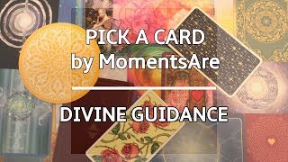 Pick a Card * Messages from Your Spirit Animals * General Reading