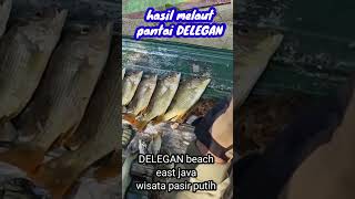 delegan beach east Java Indonesian #pantaiindonesia #mancinglucu #fishing