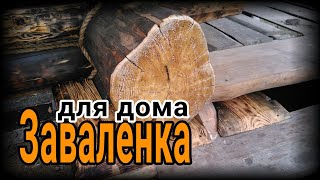 🏠💰 Зарабатываю на стройке сауны  из сруба для ЭКО-поселения. Внешний вид заваленки.