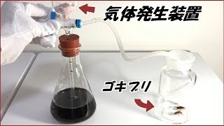 蟻戦争Ⅲ＃154 メントスコーラで発生させた「気体」をゴキブリに吸わせたら、とても科学的な結果になった。編～Coca-Cola gases and cockroaches.～