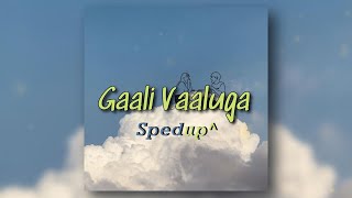 Gaali vaaluga spedup^