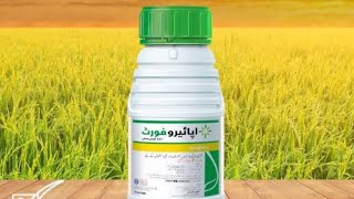 Wedicide on Rice Crop by Syngenta | دھان کی فصل پر جڑی بوٹیوں  | کے لئے زہر IBS Agri. Farm