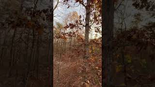 Nice windy morning here in Ohio. Ohio hunting. #inthewoods