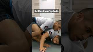 Ankle Ride Transition to Mount against Turtle #nogi #bjj #wrestling