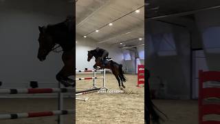 То що, ставати спортивним коментатором ?😂#equestrian #конкур #лошадь #showjumping #конныйспорт