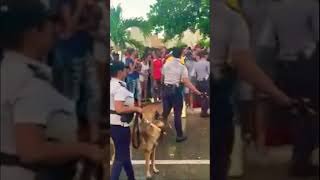 Mas abuso policial por el Régimen Castrista contra los Cubanos #shorts