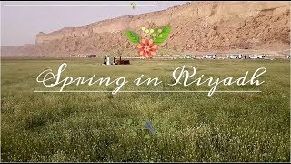 Visit to Rawdat Al Khafs زيارة إلى روضة الخفس  | Spring in Riyadh | Greenery in Riyadh