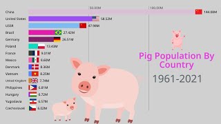 Pig Population By Country | Countries With The Most Pigs 1961-2021