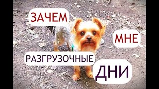 Делюсь и обсуждаю. Планы на разгрузочную неделю.