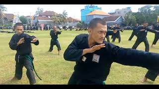 TES KENAIKAN TINGKAT HIJAU KE PUTIH PSHT CAB TABANAN BALI #psht #pshtpusatmadiun #bali #pencaksilat