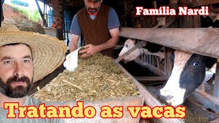 Tirando silagem pras vacas. Tratando as vacas e as terneiras. (Tentando ligar o gerador) Silagem 🌧️