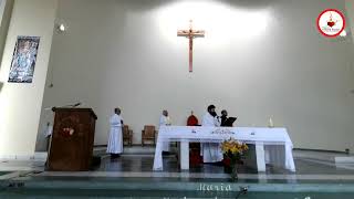 Rosario de la Aurora y Eucaristía de Santa María en sábado.