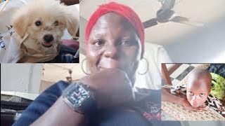 I saw this beautiful puppy + My Son Wants to live in LAGOS #minivlog