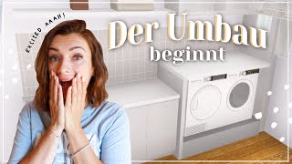 VLOG | Der UMBAU BEGINNT 🪚 & Ausritt zum FLUSS!! 😍🐎💦